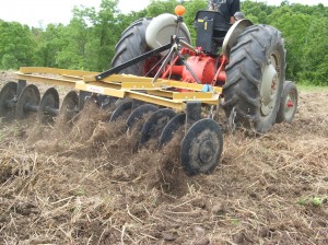 For any plots bigger than an acre or so, using a tractor and disc is the only way to go.  I use this Ford 861 and 6.5 foot disc to put in all my beans.  I can broadcast in my beans and fertilizer, and disc them in at a rate of an acre an hour on previously planted ground.