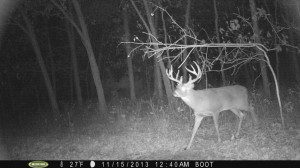 First picture of the year of "Barkley".  Two video clips to go along with the pictures.  Not a picture of this buck until mid-November.  Never assume these deer you pass up aren't there...it just takes time sometimes for them to show up.