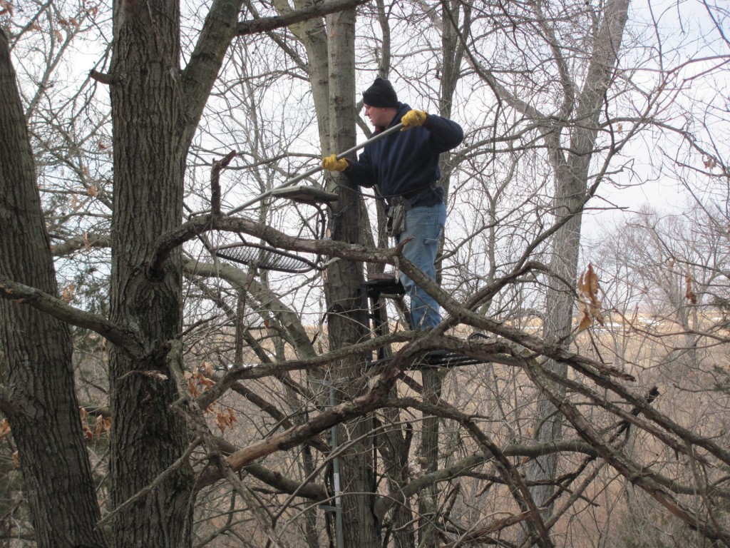 When I cut in my archery shooting lanes I like to make them a little longer and wider than it seems you might need.  Remember, they will grow back in and nothing is more frustrating than having a shooter in ranger without an open shot.  