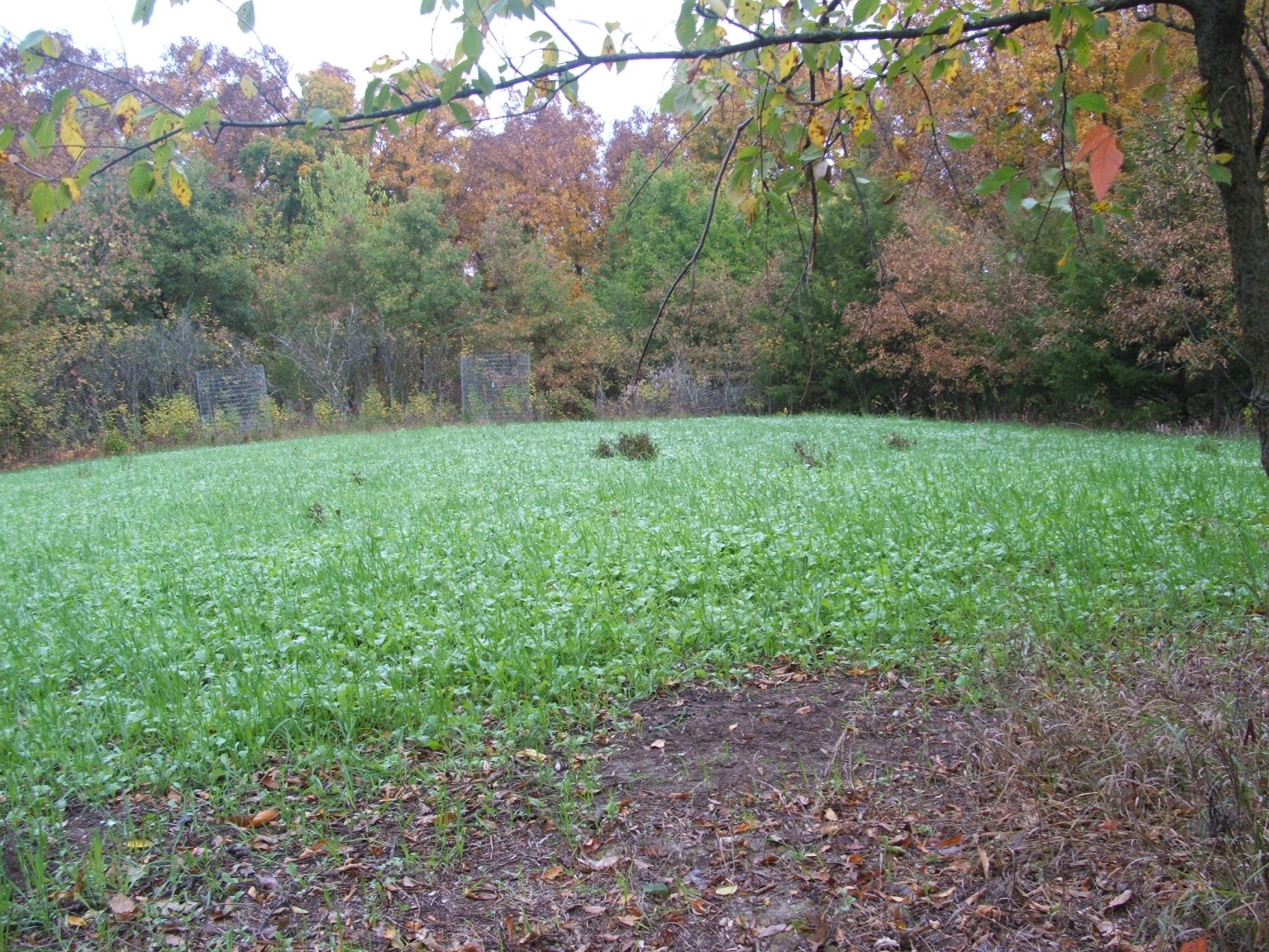 interior plot