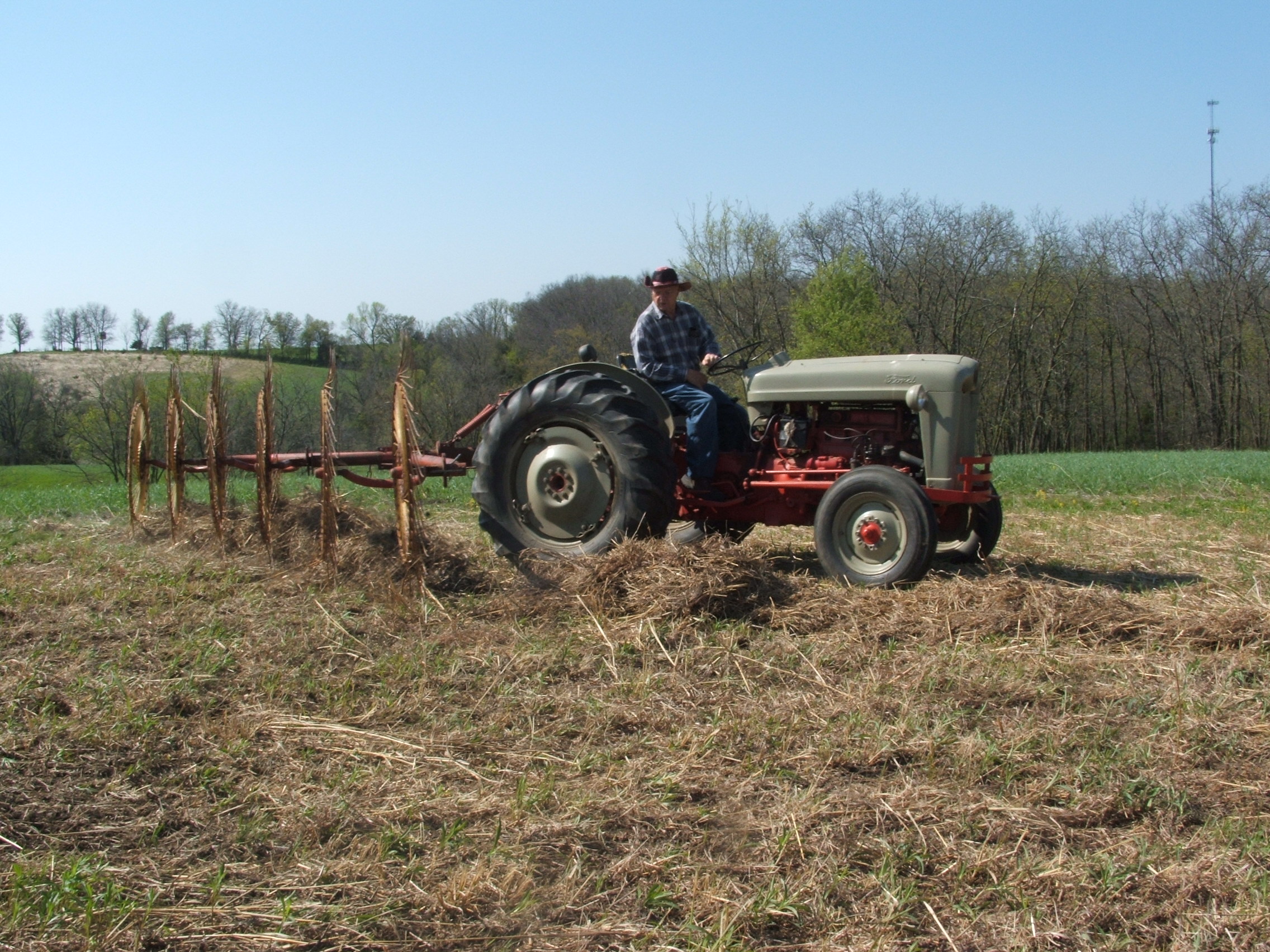 My dad raking off the mowed switch grass preparing a seed bed for expanding a food plot.