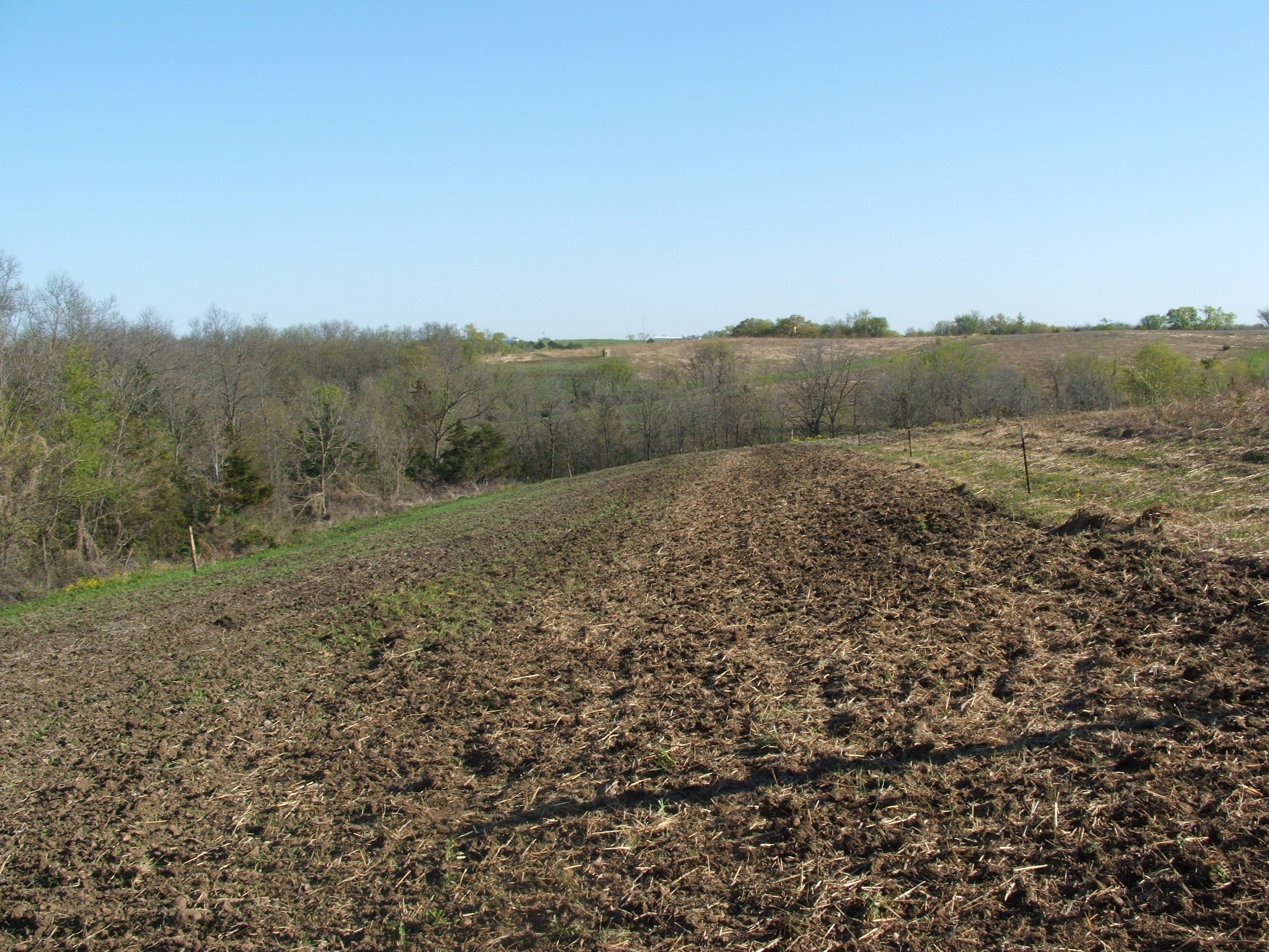 One of the finished food plots.  This plot is electric fenced in and planted in corn.  Just like the soybeans, I spread the corn seed and fertilizer and then disc them in.