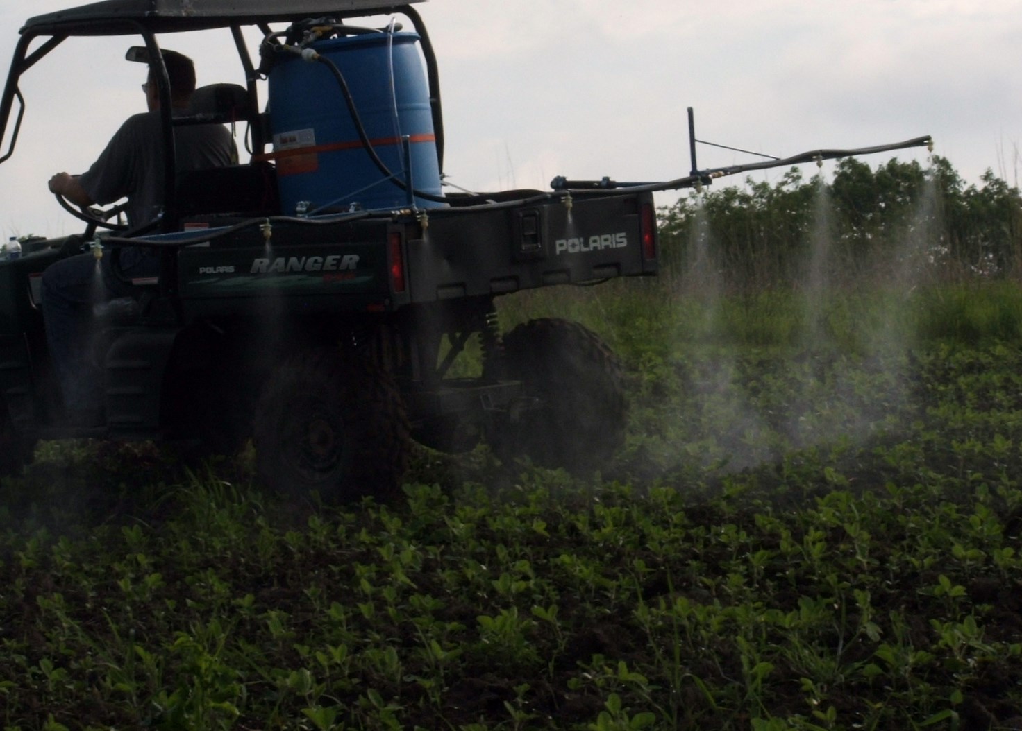 A properly calibrated sprayer can make easy work of spraying food plots.  My sprayer is set up to produce a medium mist pattern putting out 8 gallons of mixture per acre.