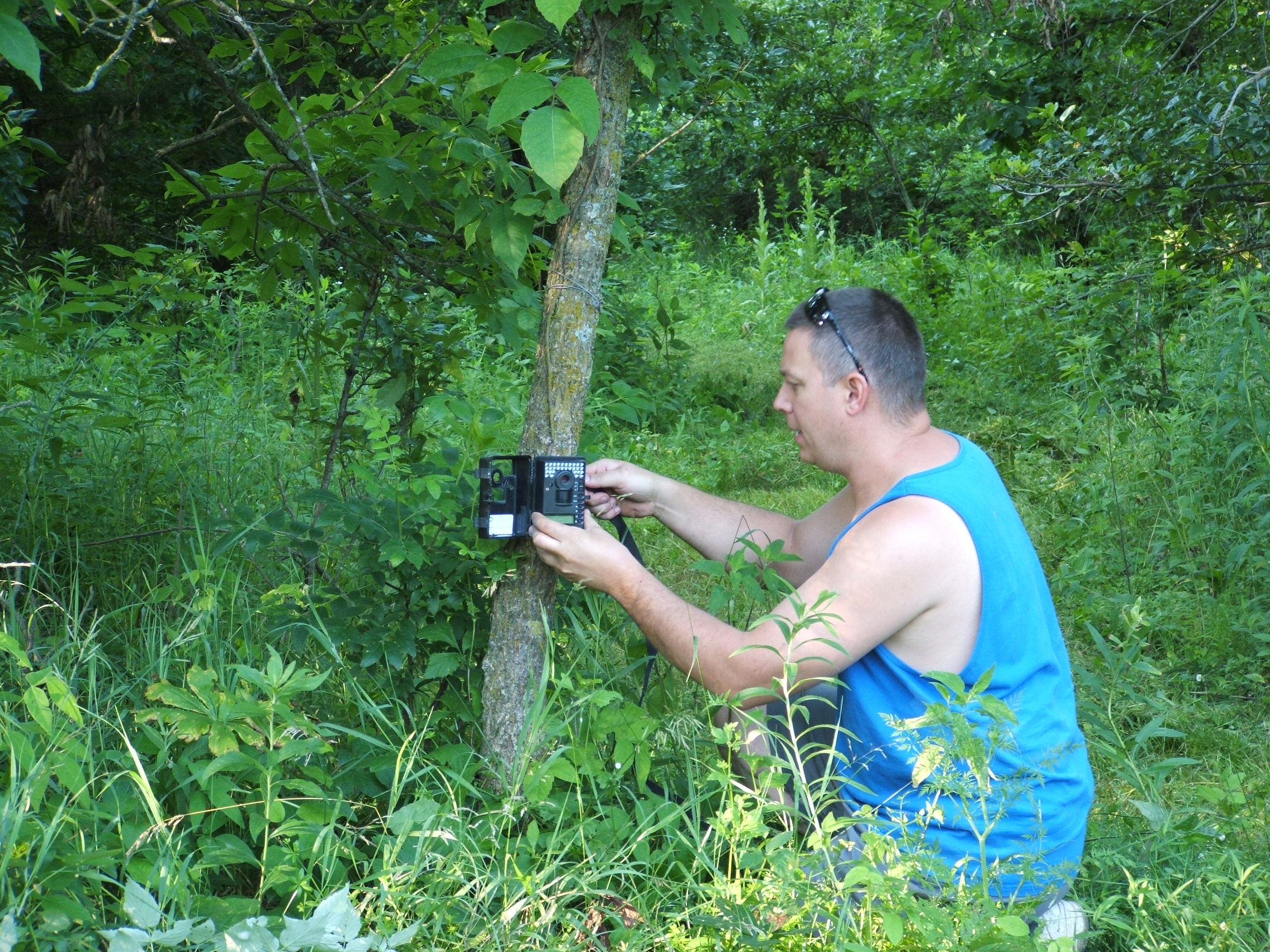 My cameras this time of year are on the most preferred food sources...beans and alfalfa.