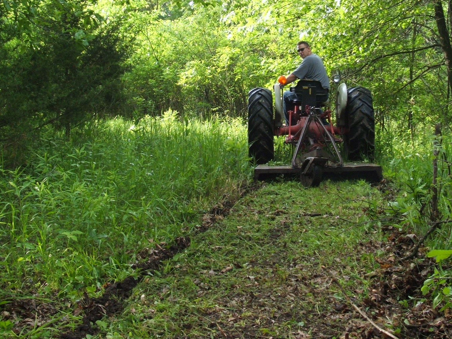 Mowing is a great way to prepare exit and entrance routes.  Mowing and spraying keeps vegetation down for a quiet walk and helps to also keep scent to a minimum.