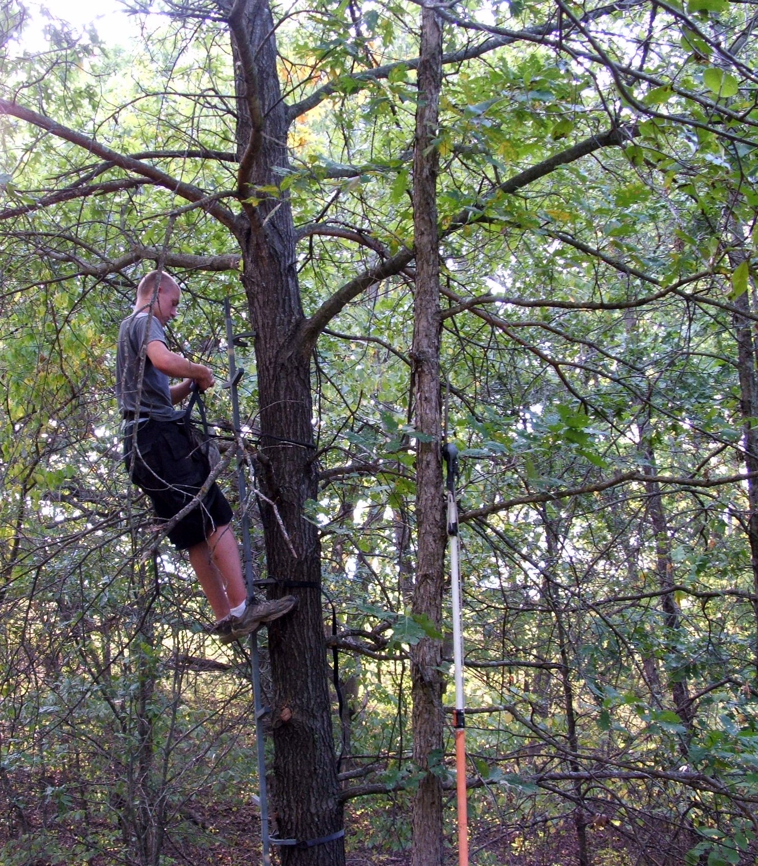 September is a great time to do stand maintenance.  Safety line systems can be installed, additional strapping added, and of course limbing out some regrowth with our shooting lanes.  Don't be afraid to do this now...it is better to make some small intrusions into your sets now than to miss an opportunity at a shot later in the season.