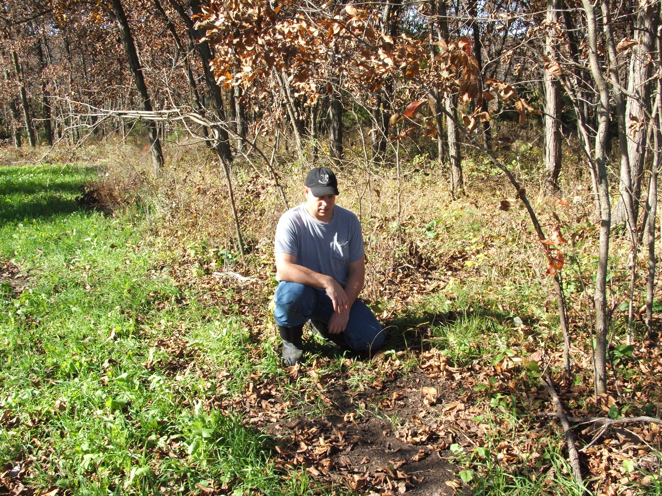 Gaining access to a farm/land that holds the type of deer you want to hunt...or better yet one that you can manage to achieve your goals is where any hunter should start . Without access, there is a good chance of going year after year feeling frustrated in your hunting season.