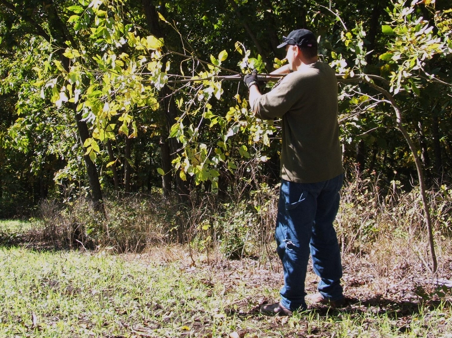 Add a mock scrape by simply providing a licking branch is just one more way to draw deer to your location. I like to make or fix up existing mock scrapes in late summer.