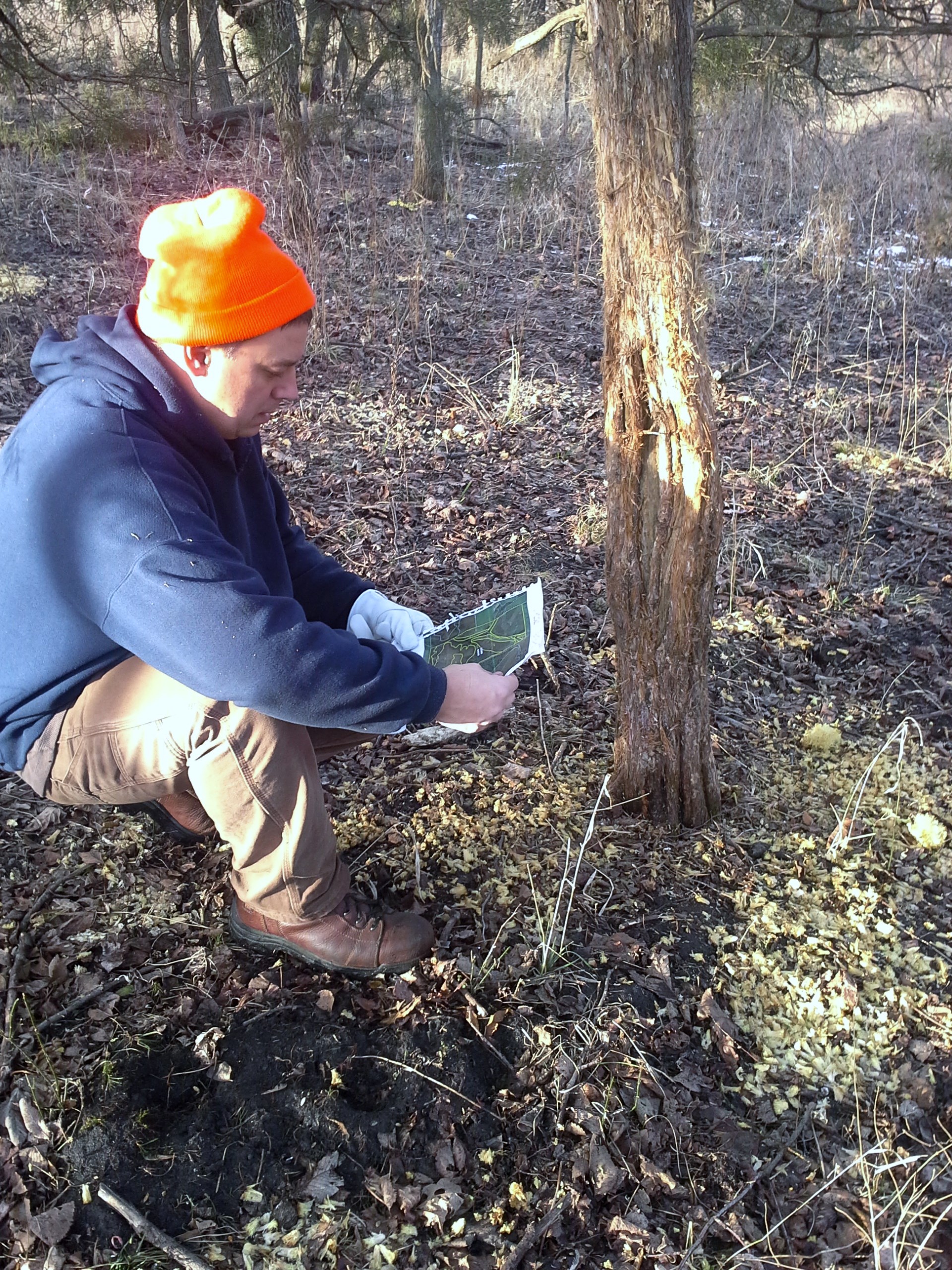 When checking for good hunting land, you must walk the property yourself. I like keying in on huge rubs...but never forget to look at the quality of the tillable portion of a farm. The income is what makes any purchase possible.