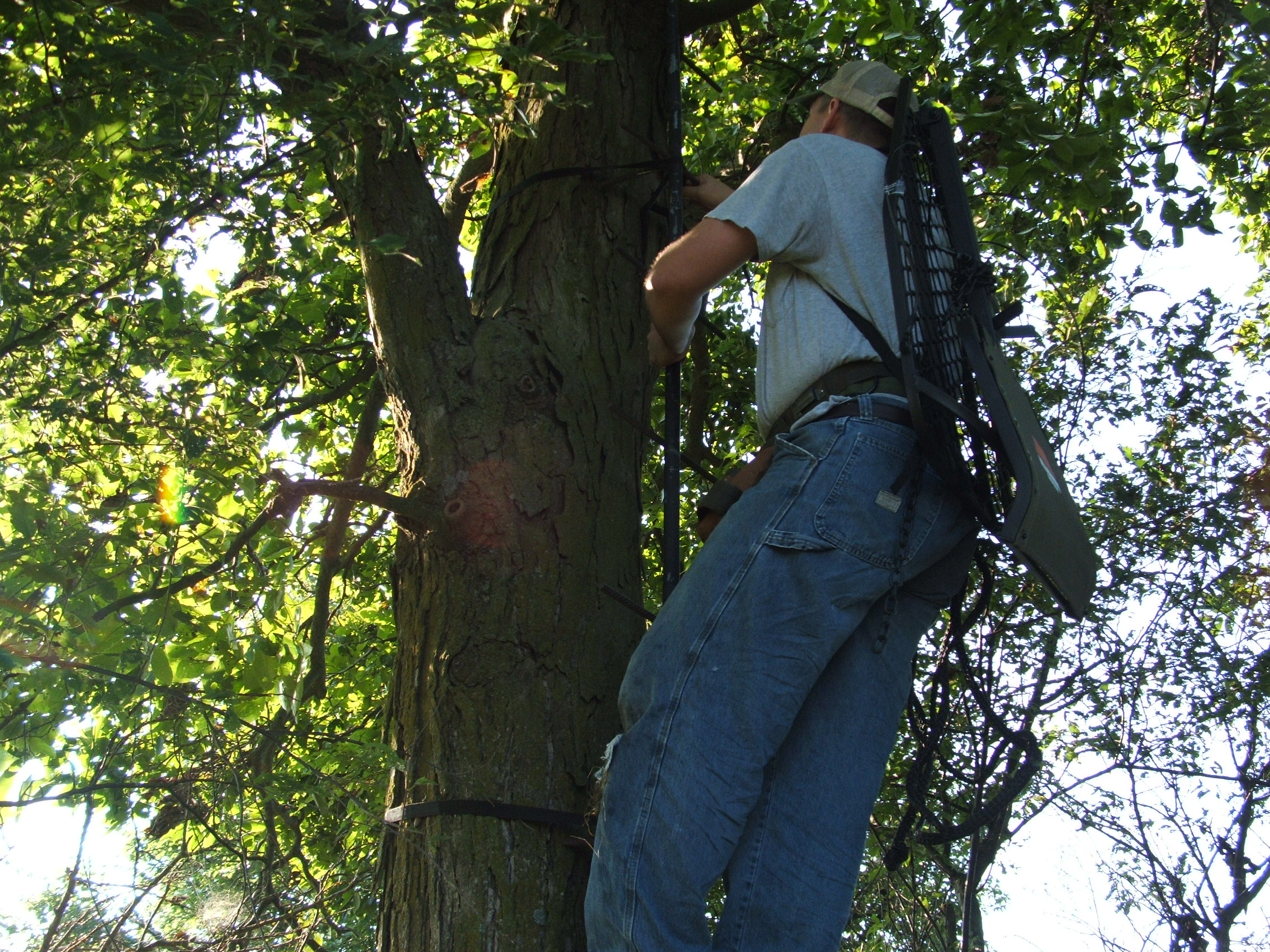 You must do one last tree stand inspection in late summer if your stands have been out all year.  I will replace any stand that won't pass a visual test...I also put 10 ton straps around each stand, and install full length life lines with prusik knots.  Any trimming is better done now last minute as opposed to doing it your first time in during the season.