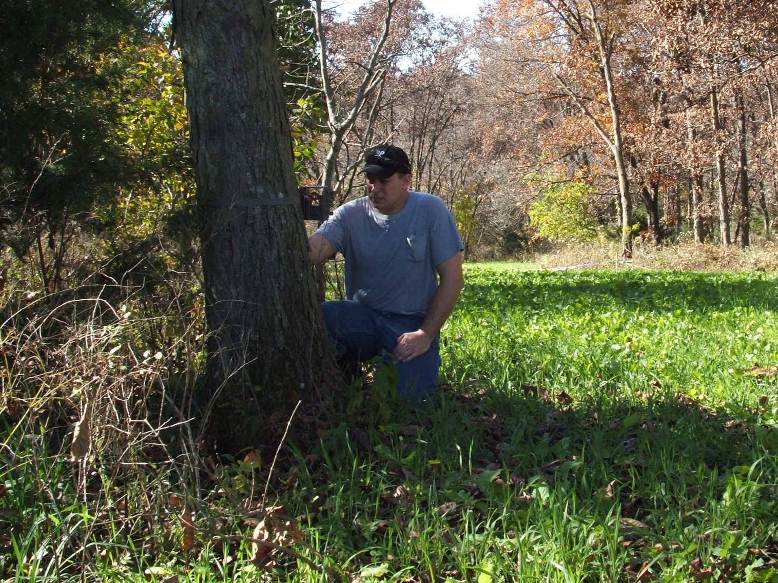 An occasional "walk about" can do more damage than you think. Over checking cameras and going into the field with street clothes on will only hurt your chances in the long run. Resist the temptation to over scout during the season.