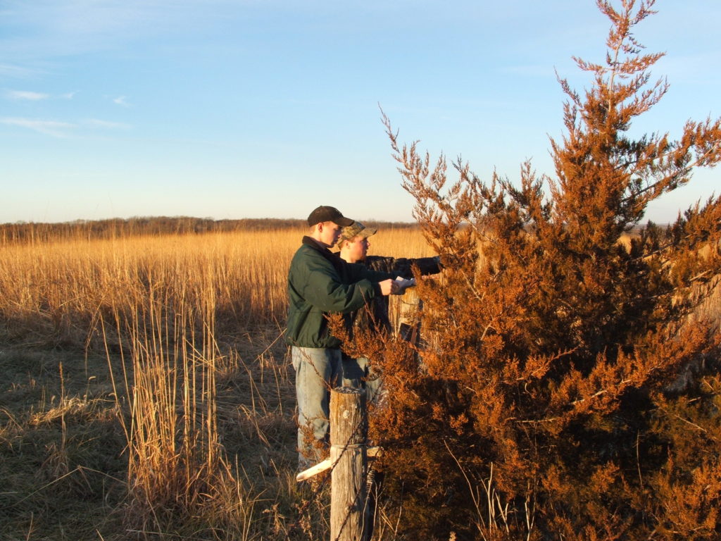 Whitetail Habitat and Hunting Consulting