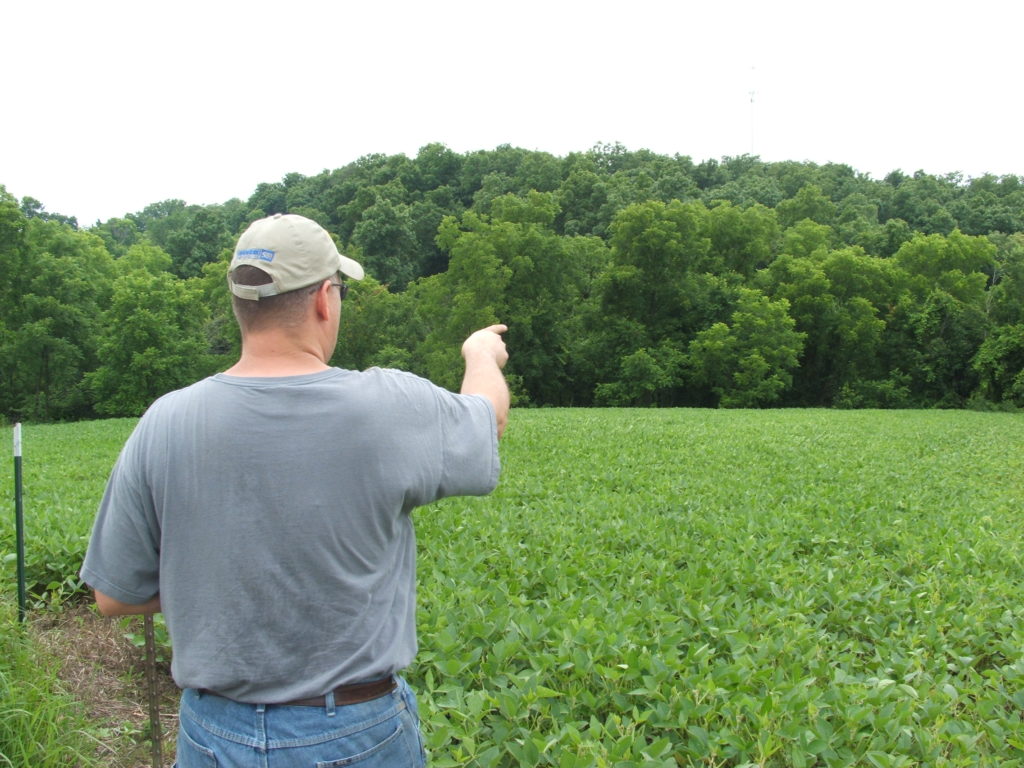 Whitetail Habitat and Hunting Consulting