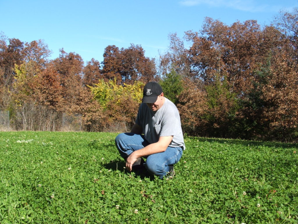 Whitetail Habitat and Hunting Consulting